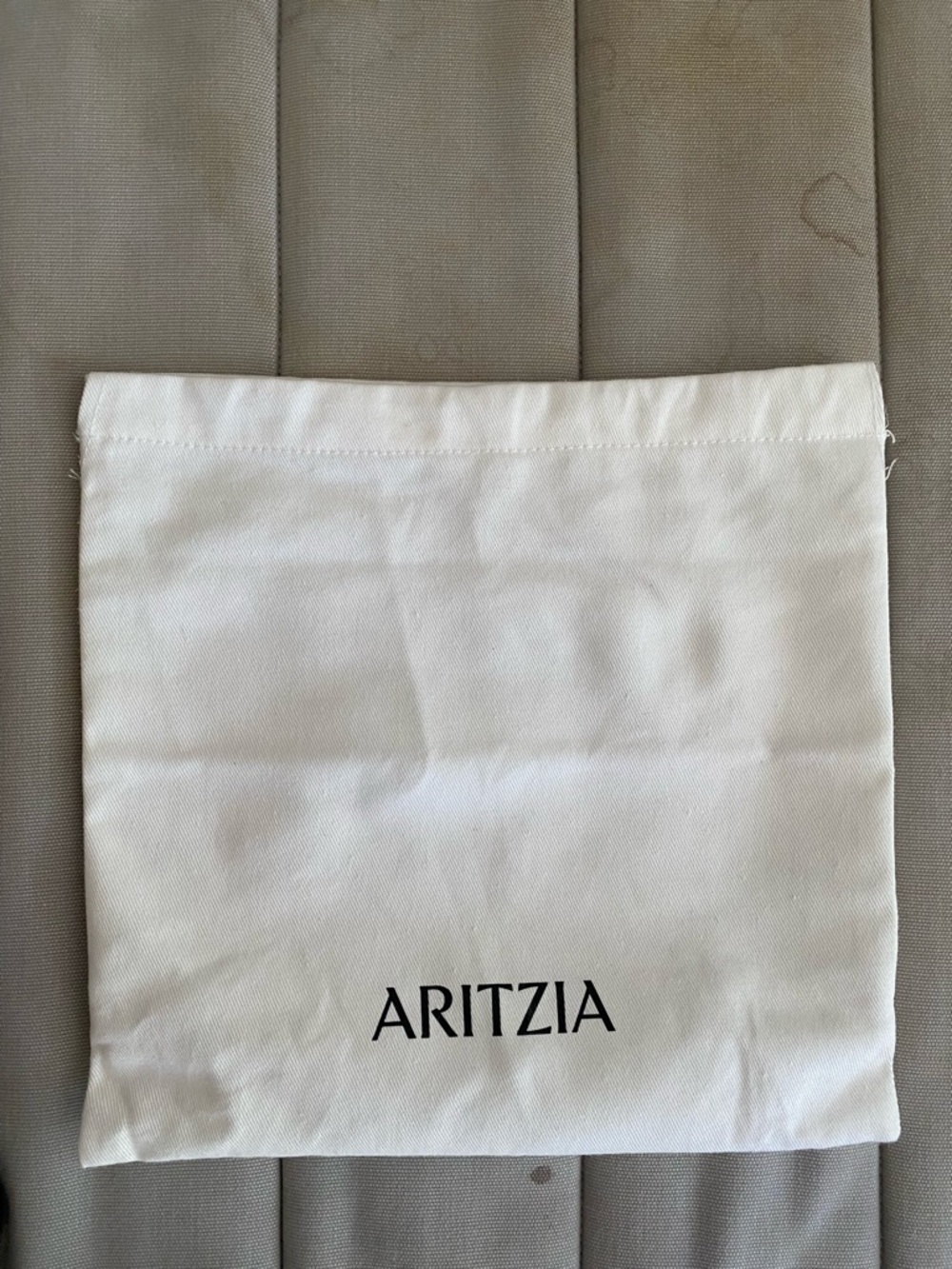 Aritzia Canvas Pouch